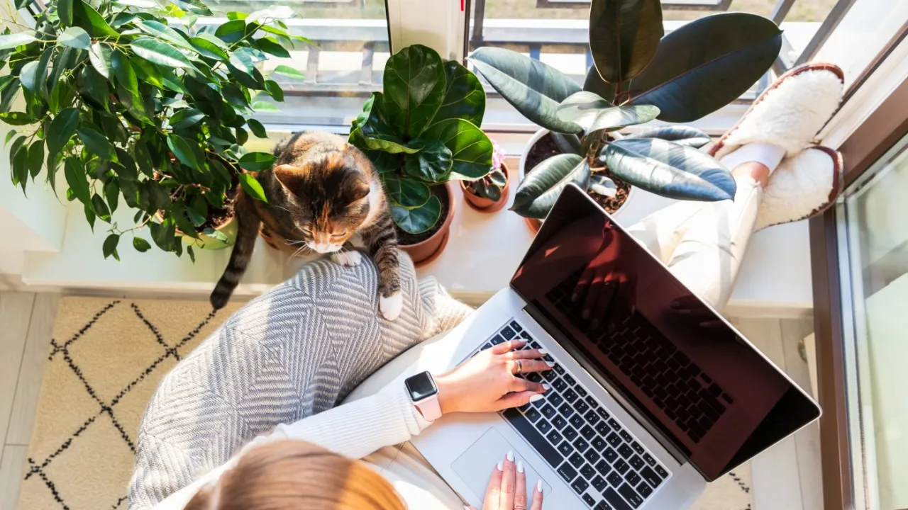 Remote business team collaboration